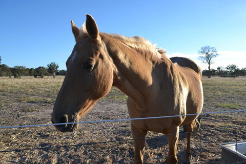 Penny's Place In The Pyrenees - Kingaroy Accommodation 0