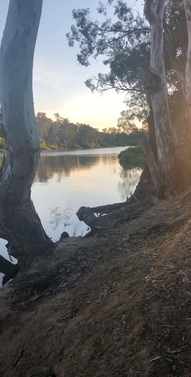 Perricoota Station - Kingaroy Accommodation 3
