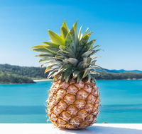 Pineapple House Whitsundays - Kingaroy Accommodation