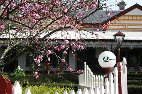 Quamby Homestead - Kingaroy Accommodation 2
