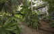 Rainforest Castaways Resort And Spa - thumb 3