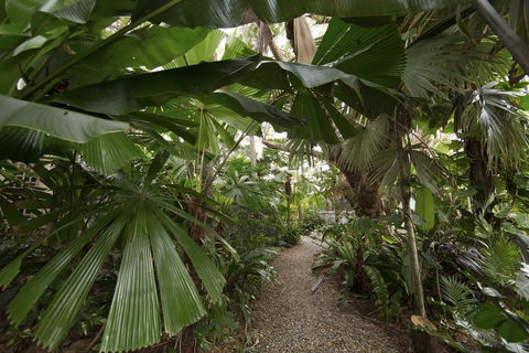 Rainforest Castaways Resort And Spa - Kingaroy Accommodation 1