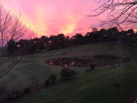 Raynella Alpaca Farmstay - Kingaroy Accommodation 1