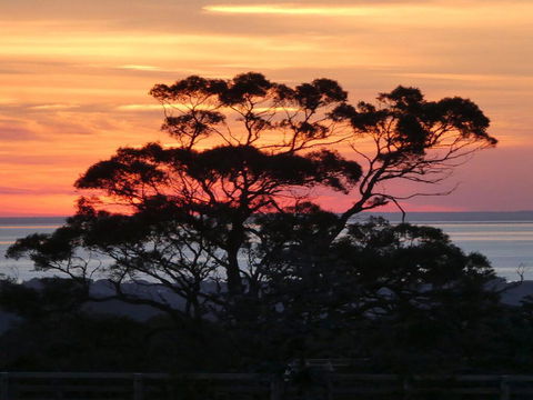 Red Hill Ridge - Kingaroy Accommodation 1