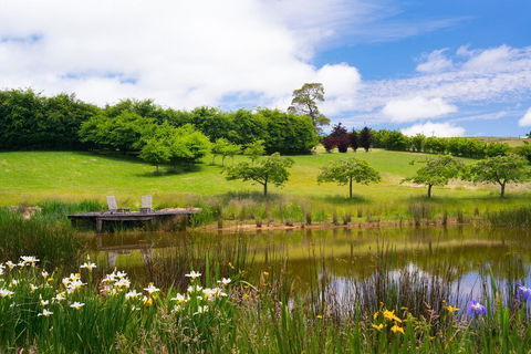 Reverie 101 - Kingaroy Accommodation 2