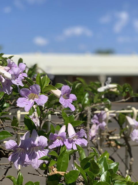 Riverland Motor Inn - Kingaroy Accommodation 3