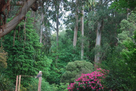 Rocky Creek Art Garden B&B - Kingaroy Accommodation 2
