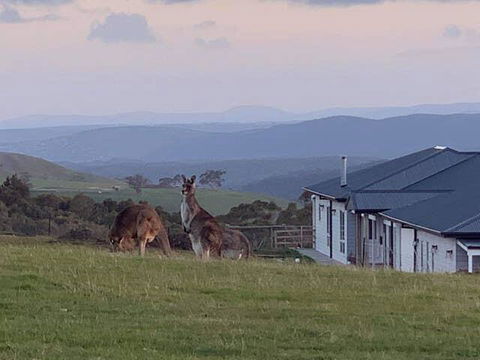 Rooks Edge - Kingaroy Accommodation 0