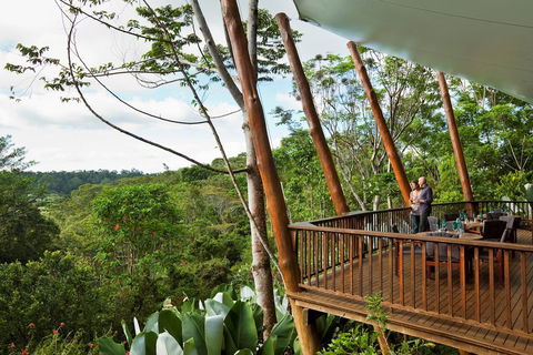 Rose Gums Wilderness Retreat - Kingaroy Accommodation 0