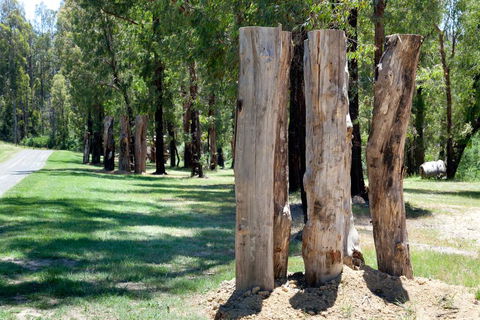 Saladin Lodge - Kingaroy Accommodation 2