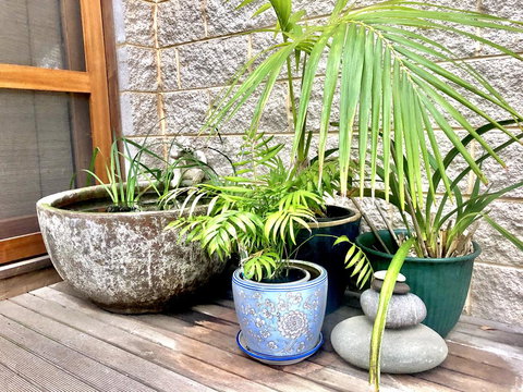 SEAeSCAPE Apollo Bay - Kingaroy Accommodation 0