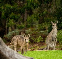 Secura Lifestyle Countryside Kalaru - Kingaroy Accommodation
