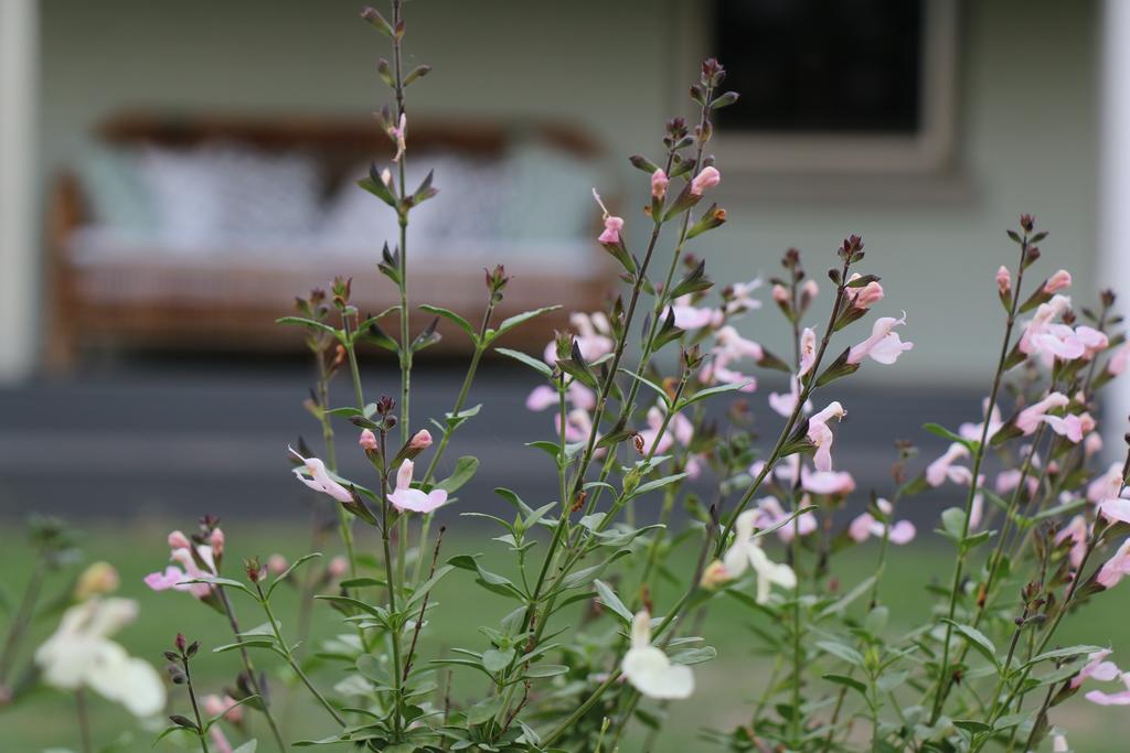 Allynbrook ACT Kingaroy Accommodation