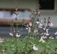 Serendipity on Allyn - Kingaroy Accommodation