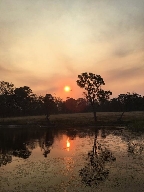 Serenity On Stanthorpe - Kingaroy Accommodation 2