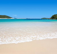 Shells on the Shore Holiday Accomm - Dolphins - Kingaroy Accommodation