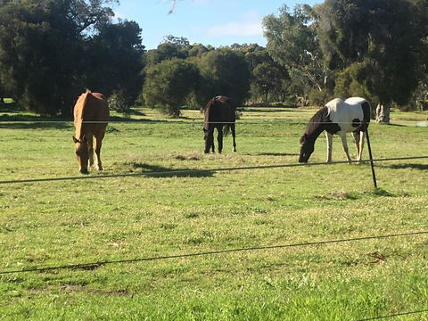 Shetland Park Chalets - Kingaroy Accommodation 1
