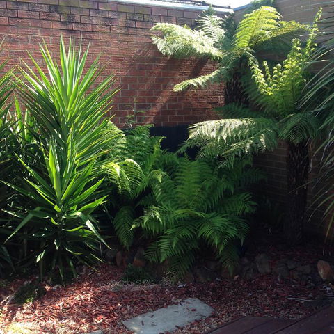 Short Stays Gippsland Trafalgar - Kingaroy Accommodation 3
