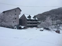 Book Falls Creek Accommodation Vacations Kingaroy Accommodation Kingaroy Accommodation