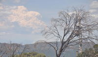 Book Mount Buller Accommodation Vacations Kingaroy Accommodation Kingaroy Accommodation