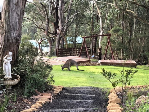 Southern Anchorage Retreat - Kingaroy Accommodation 3