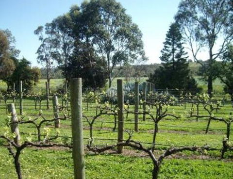 Southern Vales Bed & Breakfast - Kingaroy Accommodation 1