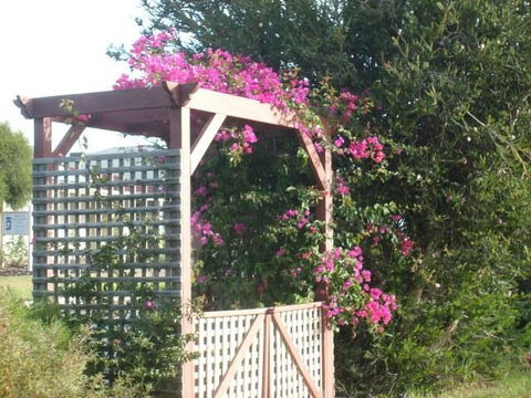 Southern Vales Bed & Breakfast - Kingaroy Accommodation 3