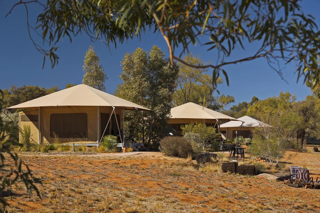 White Gums NT Kingaroy Accommodation