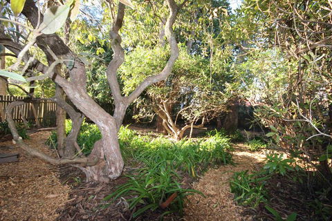 Stonewall Cottage And Studio - Kingaroy Accommodation 2