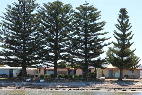 Tall Pines Beach House At Mount Dutton Bay (part Of Coffin Bay Waterways) - Kingaroy Accommodation 1