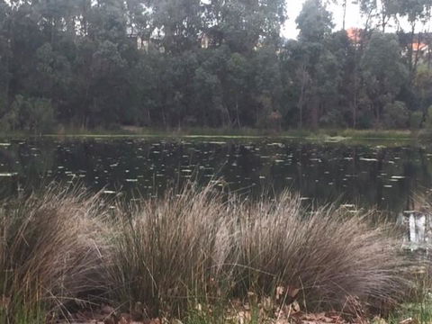 Telperon (2 Rooms, 3-4 Guests) - Kingaroy Accommodation 2
