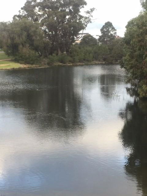 Telperon (2 Rooms, 3-4 Guests) - Kingaroy Accommodation 3