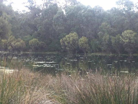 Telperon (2 Rooms, 3-4 Guests) - Kingaroy Accommodation 1