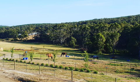 Lockleigh Park - Kingaroy Accommodation 19