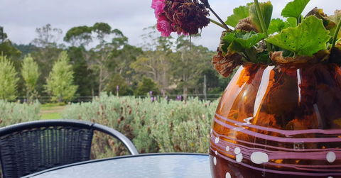 Lockleigh Park - Kingaroy Accommodation 22