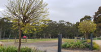 Book Lebrina Accommodation Vacations Kingaroy Accommodation Kingaroy Accommodation