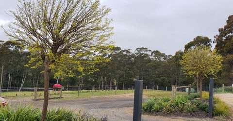Lockleigh Park - Kingaroy Accommodation 0