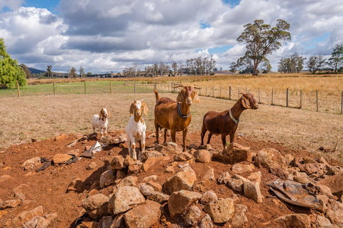 Glencoe Country Bed And Breakfast - Kingaroy Accommodation 36