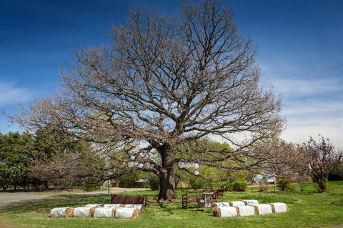 Ratho Farm - Kingaroy Accommodation 8