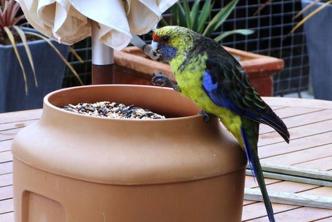 THE LOFT @ Bay Of Fires Seascape - Kingaroy Accommodation 22