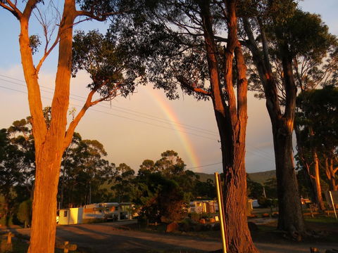 Captain Cook Holiday Park - Kingaroy Accommodation 12