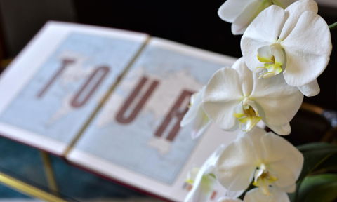 Lotus Gogh Apartment - Kingaroy Accommodation 6