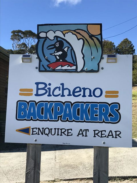 Bicheno Backpackers - Kingaroy Accommodation 4