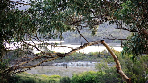 KINGFISHER COTTAGE Beachfront At The Binalong Bay - Kingaroy Accommodation 17