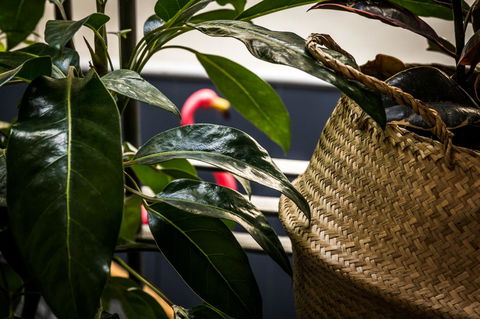Alabama Hotel Hobart - Kingaroy Accommodation 25