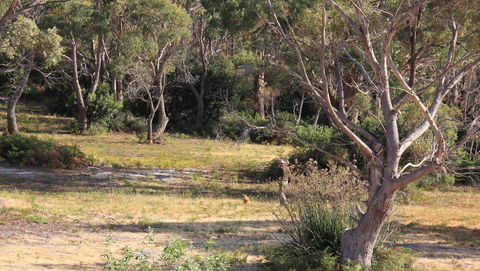 BAY OF FIRES SEACHANGE Ocean Frontage - Kingaroy Accommodation 12