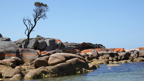 BAY OF FIRES SEACHANGE Ocean Frontage - Kingaroy Accommodation 21