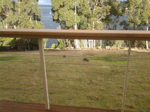 Marinavisage - Kingaroy Accommodation 20