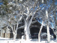 Book Dinner Plain Accommodation Vacations Kingaroy Accommodation Kingaroy Accommodation