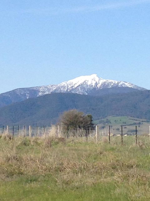 High Country Holiday Park - Kingaroy Accommodation 34
